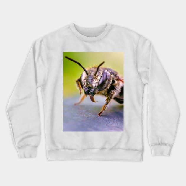 Good Doggy! Macro Insect Photograph Crewneck Sweatshirt by love-fi